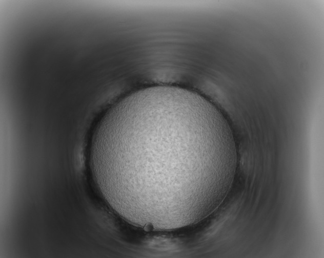 X0000088390635200705291409