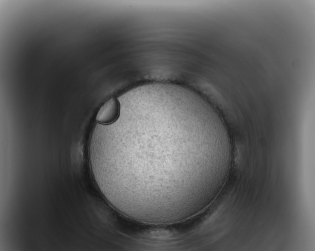 X0000088390636200705291409