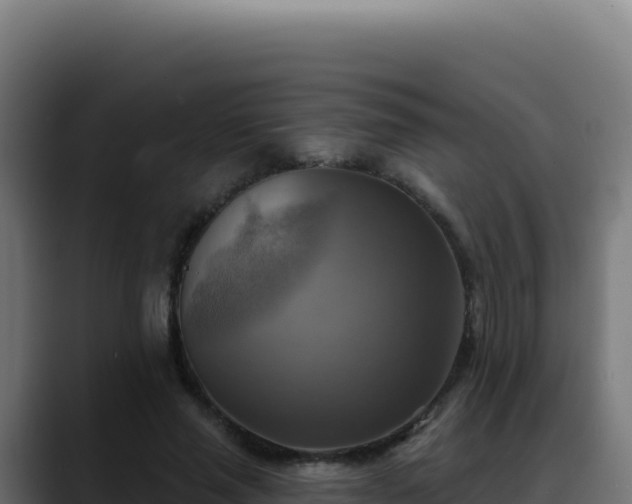 X0000088390637200705291409