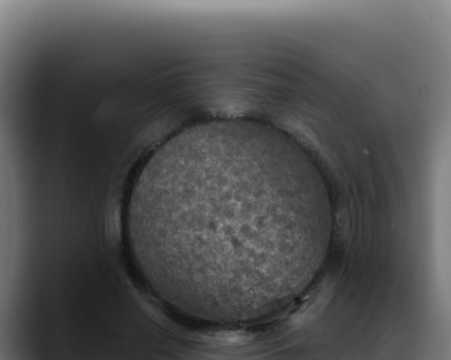 X0000088390638200705291409