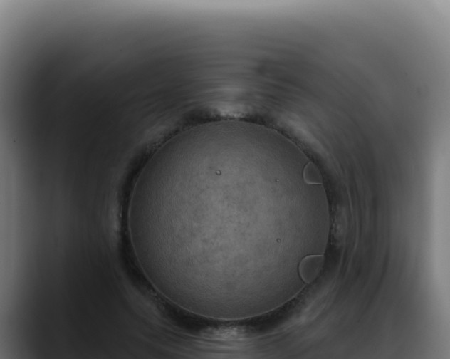 X0000088390639200705291409