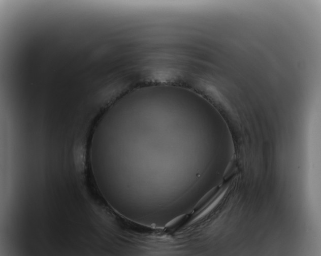 X0000088390640200705291409