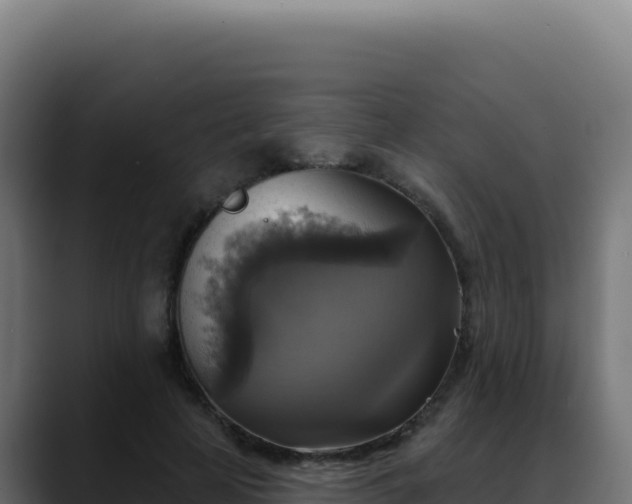 X0000088390641200705291409