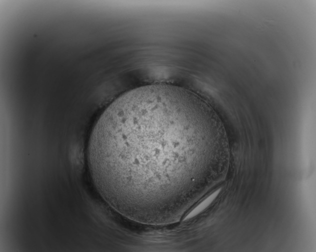 X0000088390642200705291409