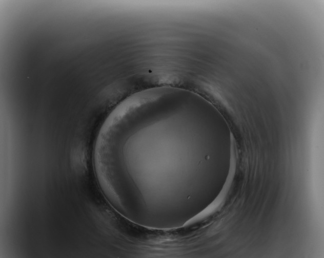 X0000088390643200705291409