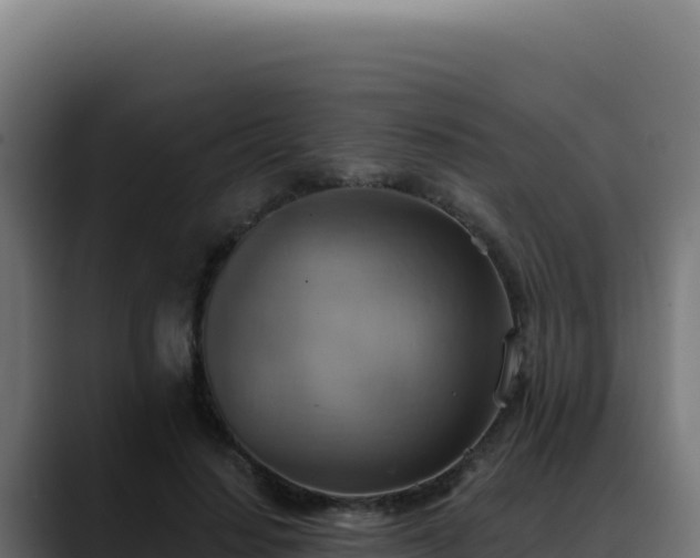 X0000088390644200705291409