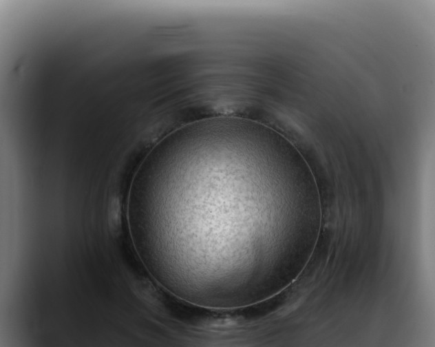 X0000088390646200705291409