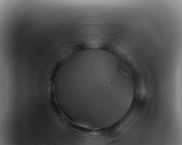 X0000088390647200705291409