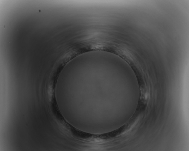 X0000088390648200705291409