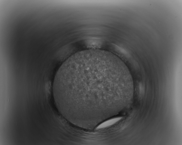 X0000088390649200705291409