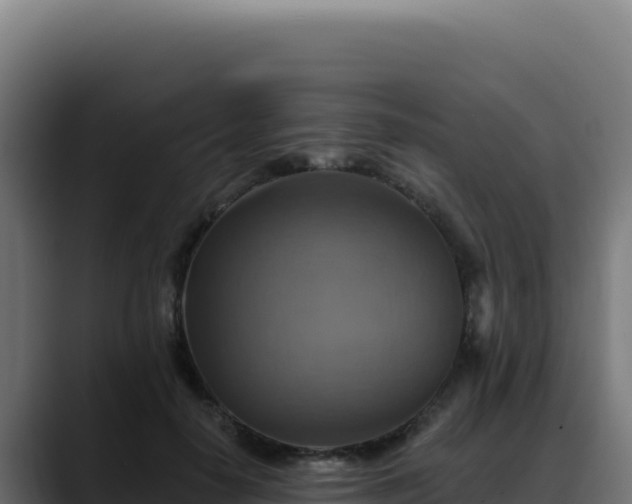 X0000088390650200705291409