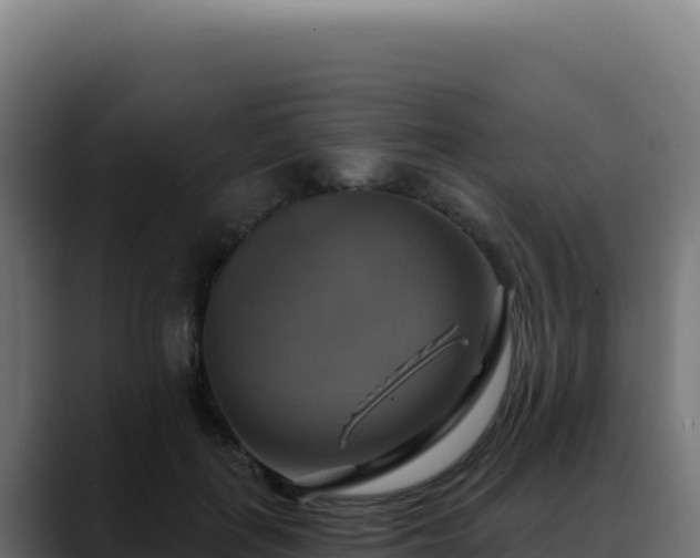 X0000088390651200705291409