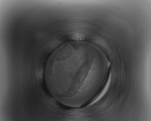 X0000088390652200705291409