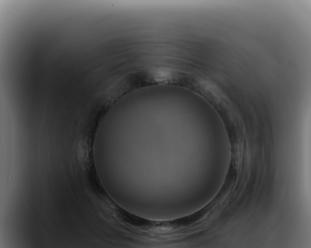 X0000088390653200705291409