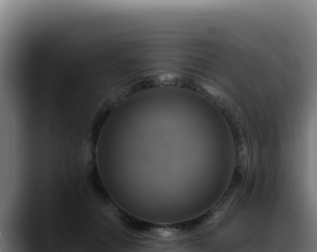 X0000088390654200705291409