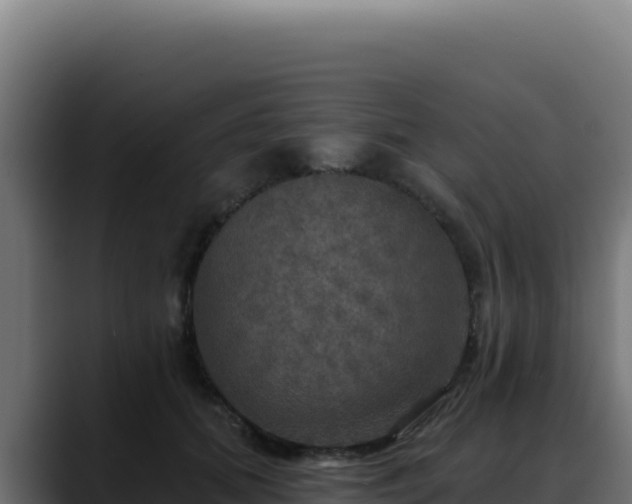 X0000088390655200705291409