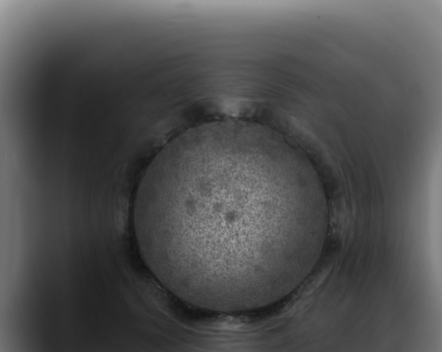 X0000088390656200705291409