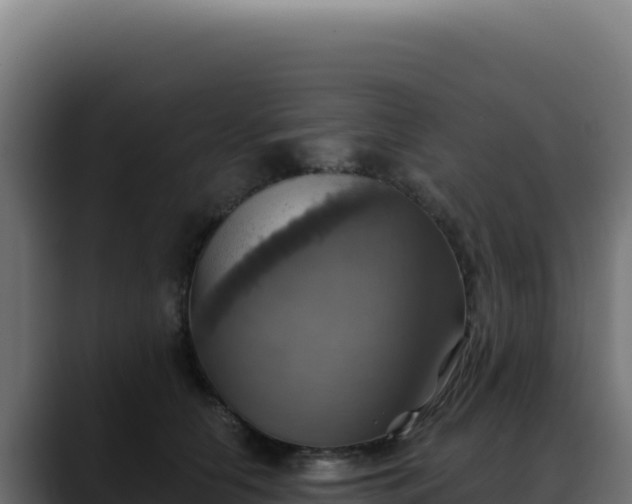 X0000088390658200705291409