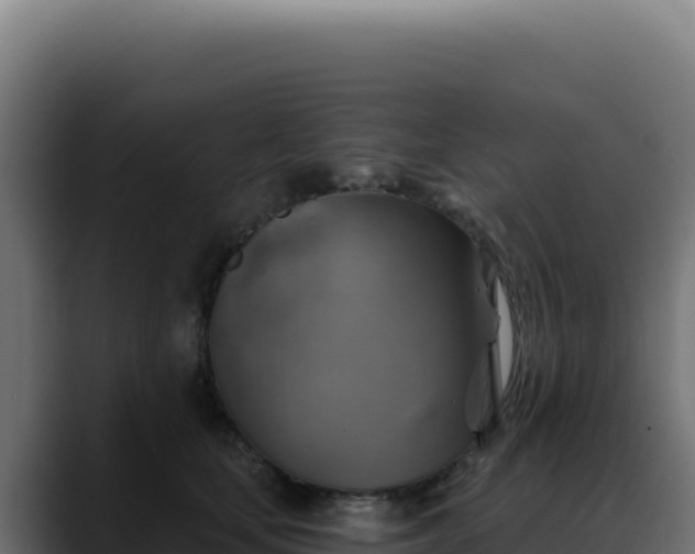 X0000088390659200705291409