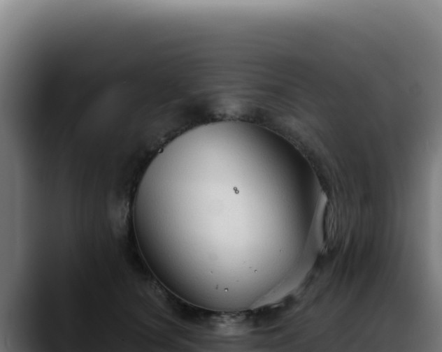 X0000088390660200705291409