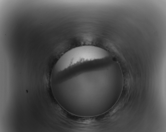 X0000088390661200705291409