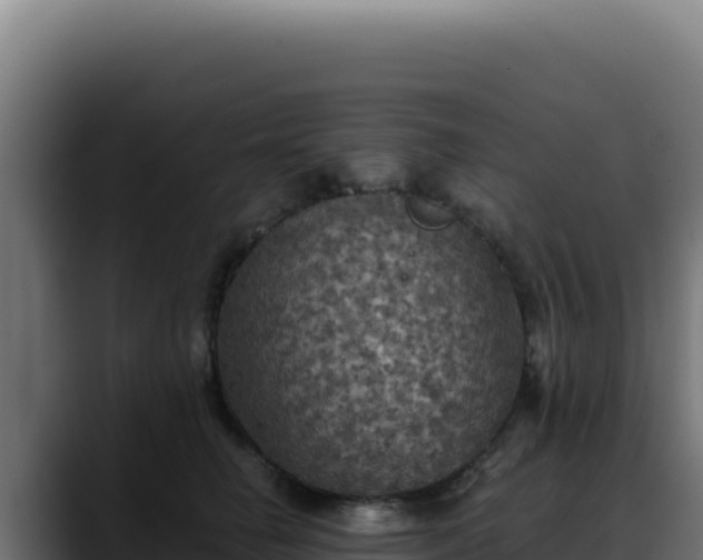 X0000088390662200705291409