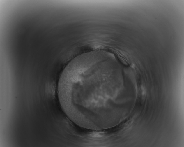 X0000088390664200705291409