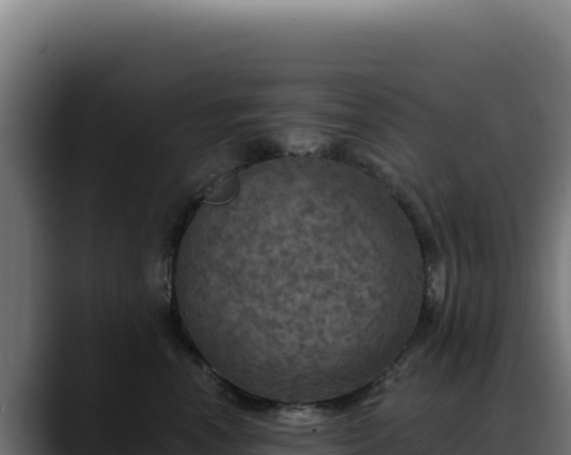 X0000088390666200705291409