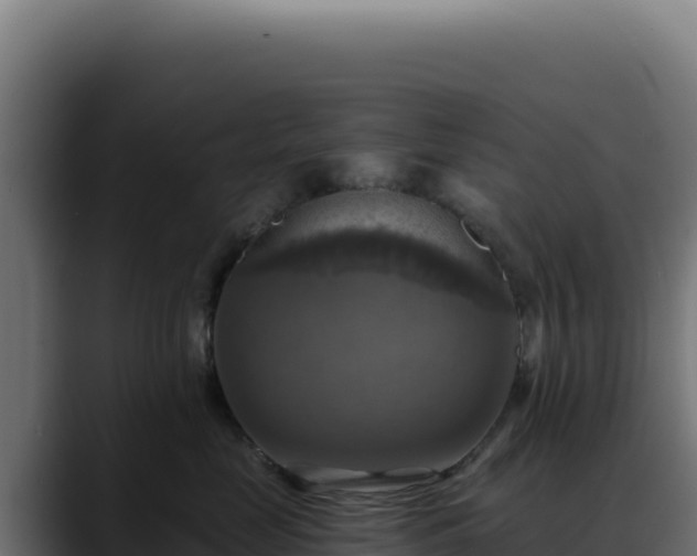 X0000088390669200705291409