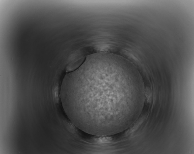 X0000088390670200705291409