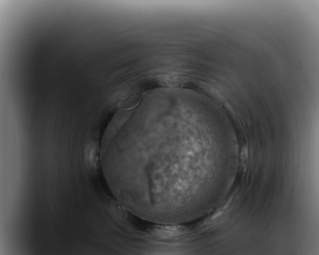 X0000088390671200705291409