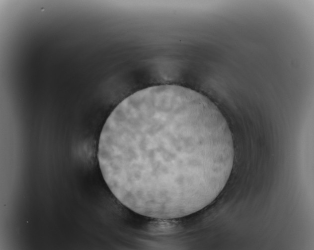 X0000088390672200705291409