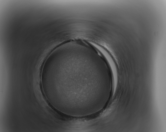 X0000088390673200705291409