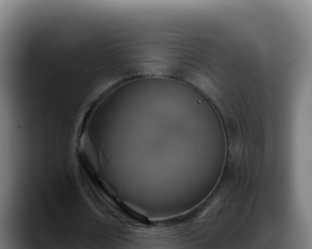 X0000088390674200705291409