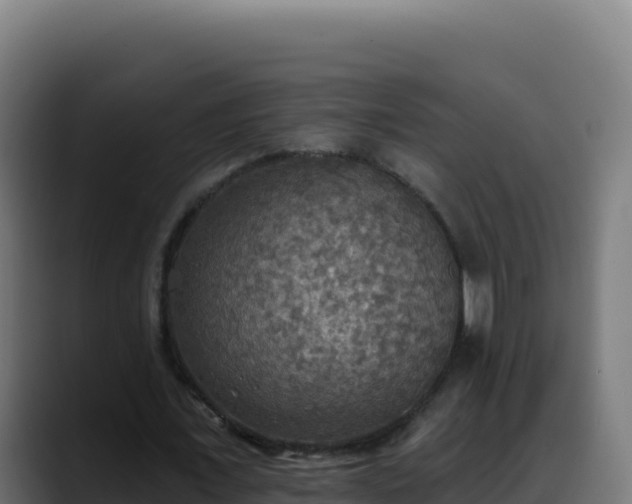 X0000088390675200705291409