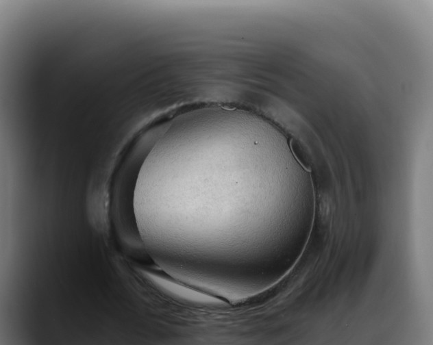 X0000088390676200705291409