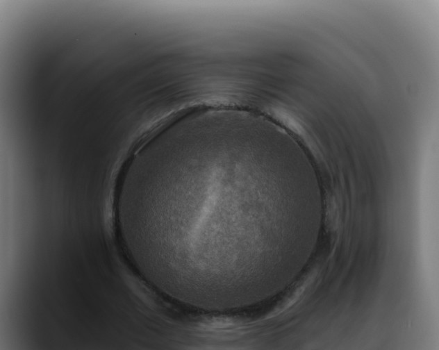 X0000088390677200705291409