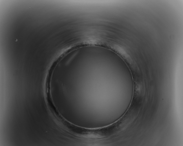 X0000088390678200705291409