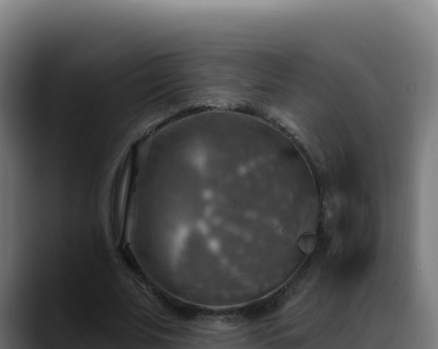 X0000088390679200705291409