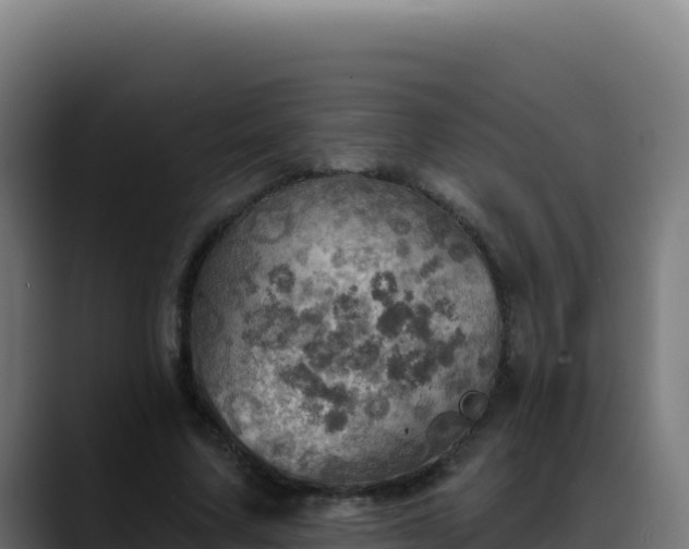 X0000088390683200705291408