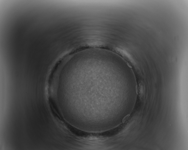 X0000088390684200705291408