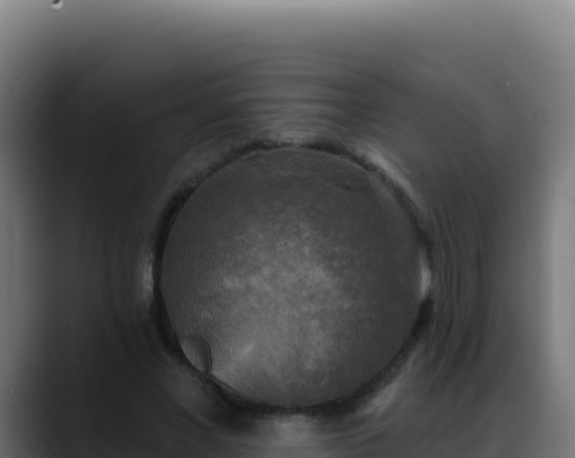 X0000088390685200705291408