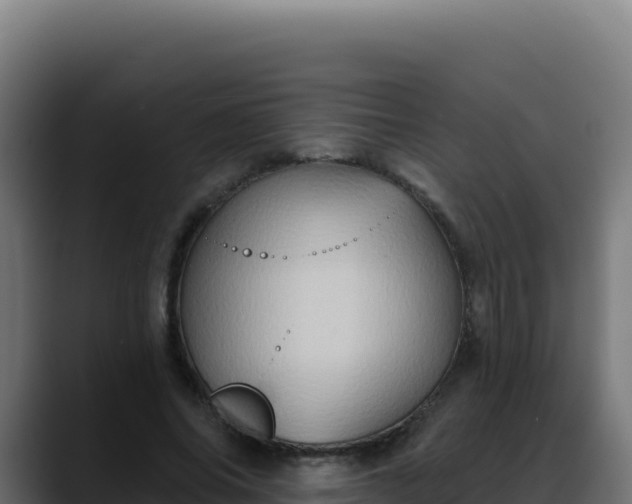 X0000088390686200705291408