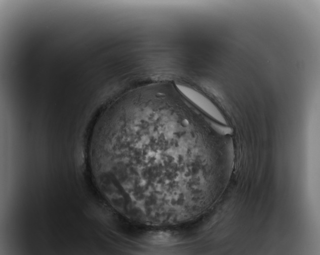 X0000088390687200705291408