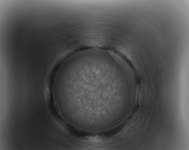 X0000088390688200705291408