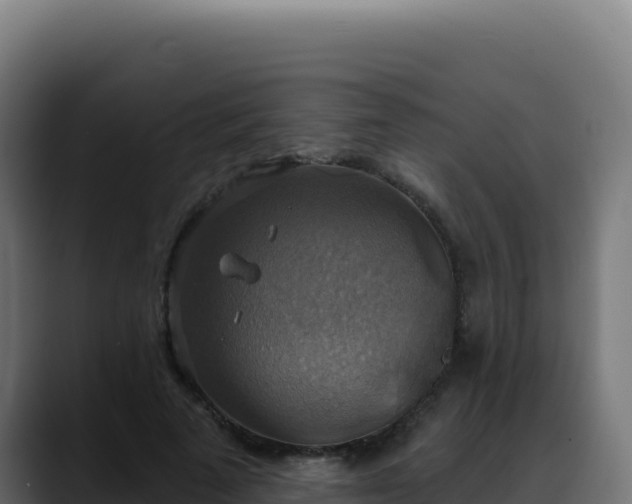 X0000088390689200705291408