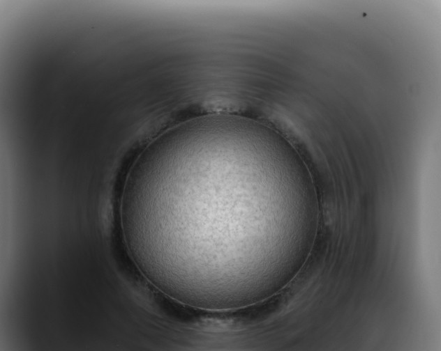 X0000088390690200705291408