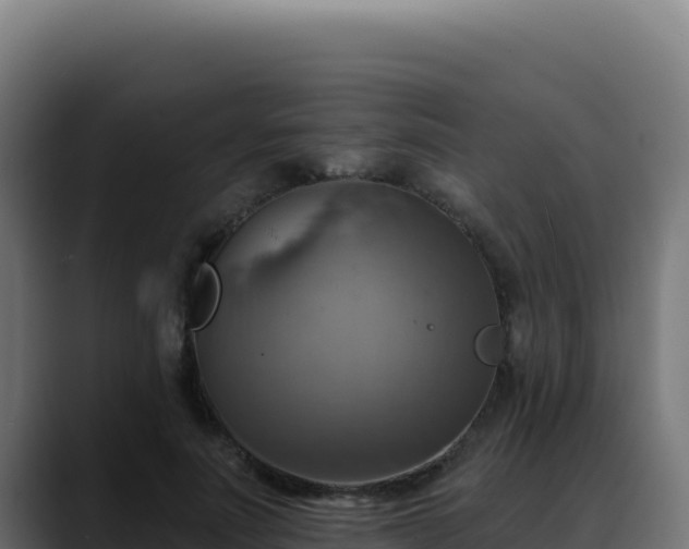 X0000088390691200705291408