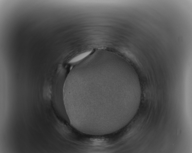 X0000088390693200705291408