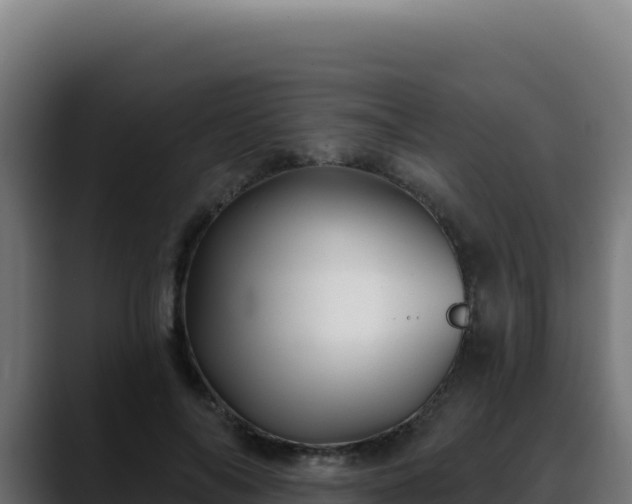 X0000088390694200705291408